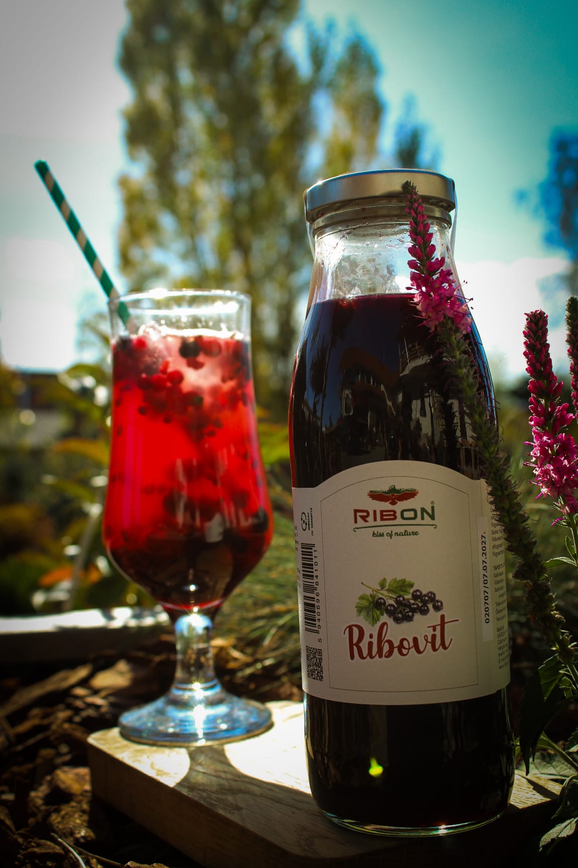 RiboVit